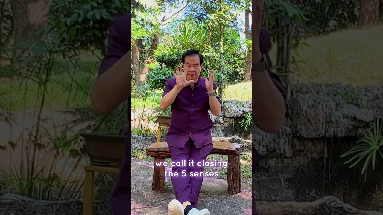 Reset your biological clock at the Taoist Darkroom Retreat. How darkness affects the human body