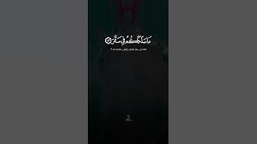 كل نفس بما كسبت رهينة سورة المدثر بصوت سعد الغامدي