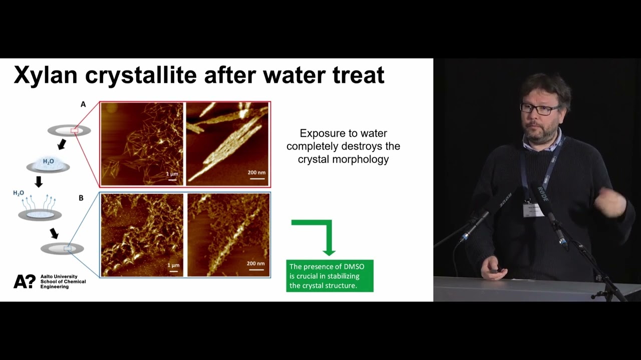 Eero Kontturi, Bottom-up construction of rod-like xylan nanocrystals