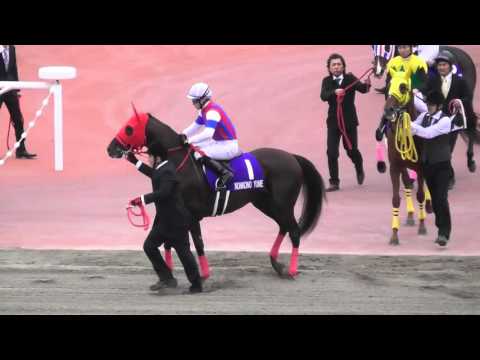 2015 12/6 第16回 チャンピオンズカップ(ＧＩ) 本馬場入場 現地映像サンビスタ