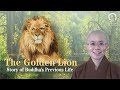 Story of Buddha&#39;s Previous Life | Buddhist Story:The Golden Lion | Master Miao Yin | 佛陀本生故事金色獅子|妙音法師