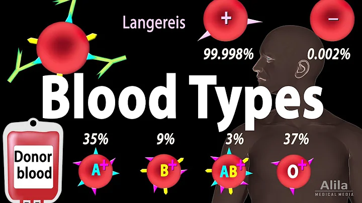 Blood Types, Blood Group Systems and Transfusion Rule, Animation - DayDayNews