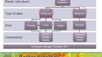 Raster typology summary