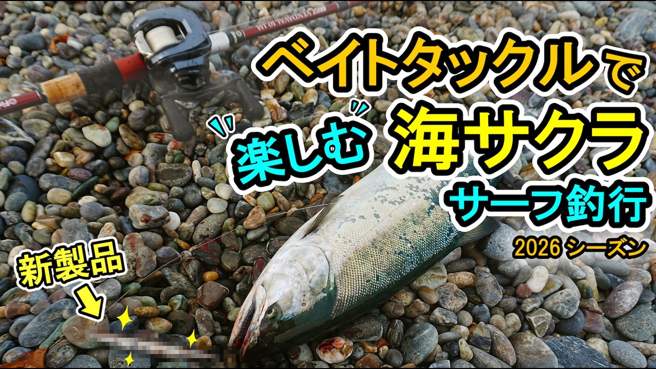 【2026海サクラ】ベイトタックル & 新製品で楽しむサーフ釣行