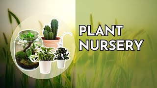 Inside The Growing World Of Plant Nursery