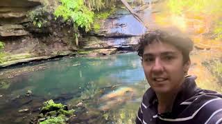 I entered the fairy realm beautiful fairy forest and waterfall