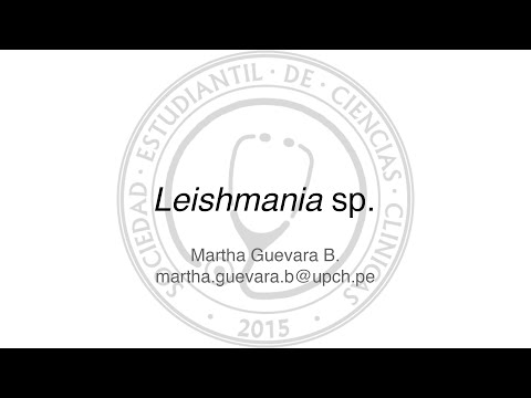 Vídeo: Respuestas Transcripcionales De Leishmania (Leishmania) Amazonensis En Presencia De Estibogluconato De Sodio Trivalente