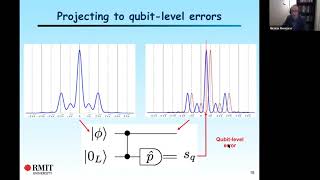 Nicolas Menicucci - Modular bosonic subsystem codes