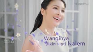 Download lagu Iklan Royale by SoKlin - Wangi Lavender Vanilla, Sandra Dewi (15s) (2023)