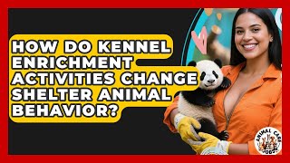 How Do Kennel Enrichment Activities Change Shelter Animal Behavior? - Animal Care Jobs screenshot 2