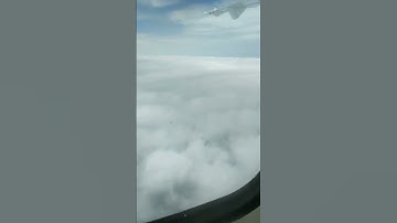Floating in the Sky: Capturing the Beauty Above the Clouds #flight #landing #takeoff #igi #viral