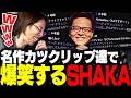 名物キャスターkatsudionの「名作クリップ」を見て腹筋崩壊するSHAKA