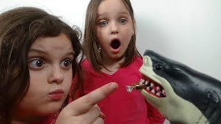 pet shark throws up diamond ring toy freaks style gross