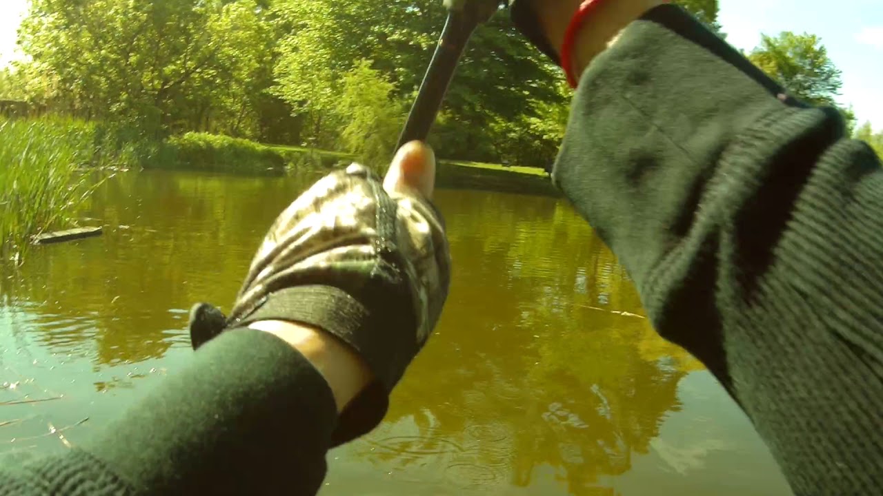 wrong way setting hook snakehead fishing experience with Utmost Fishing