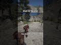 Red Dead Redemption 2 #youtubeshorts #rdr2 #ytshorts #youtube #shortvideo #shorts