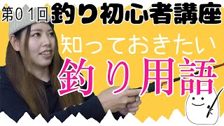 スポーツ・フィッシング辞典 mqdefault.jpg