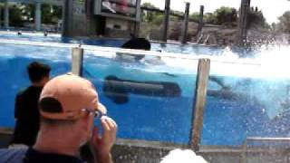 Ftv Dcompose Vs Shamoo