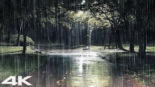Falling Asleep in 3 Minutes Gentle Rain Sound at Night, Stress Relief & Insomnia Healing