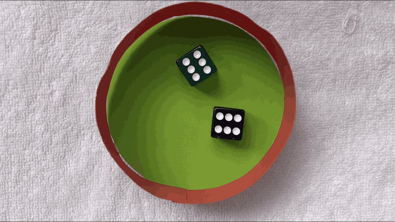 Quantum Navigation: How birds use quantum biology to find their way | Breakthrough Junior Challenge