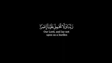 كرومة شاشة سوداء بصوت الشيخ #محمد_المحمدي#سورة_البقرة