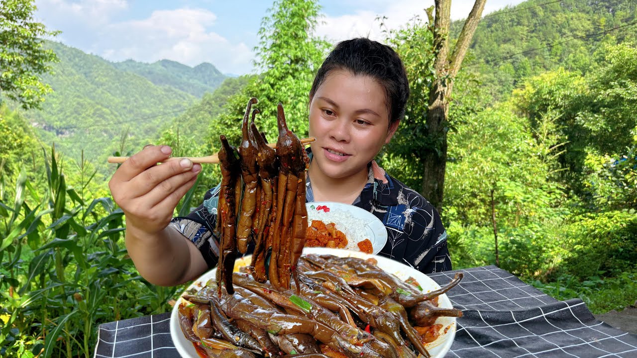 今天摘了很多茄子做个美味下饭菜 Pick some eggplants to make a delicious meal today