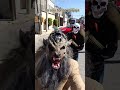 no soy terian jajajaja