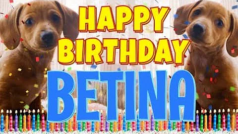 Happy Birthday Betina! ( Funny Talking Dogs ) What...