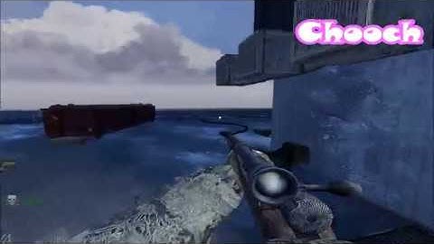 5 World at War Weapons in MW2/IW4x