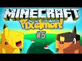 Pixelmon #5 - Charmander, char!