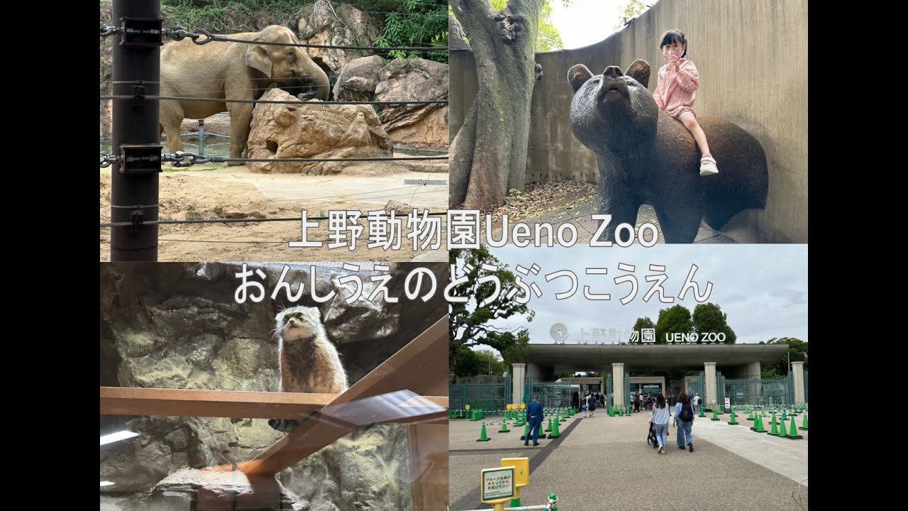 【上野動物園Ueno Zoo】帶小孩來個親子一日遊吧 (本人走路超快半天就逛完了) - YouTube