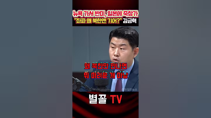 "반미 반일은 잘만 외치면서 북에는 왜그래?" 김금혁 #국민의힘 #정치 #보수 #김금혁 #일타뉴스 #매일신문