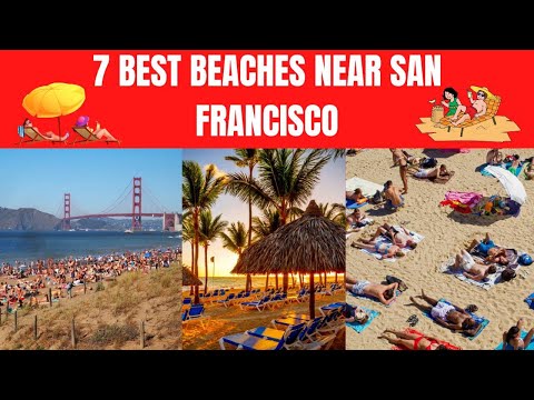 वीडियो: सर्वश्रेष्ठ सैन फ्रांसिस्को समुद्र तट