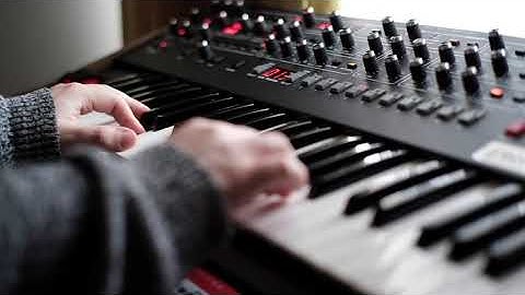 Sequential Prophet 6 x Moog Sub37