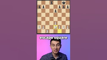 Why Rooks ❤️ Open Files & 7th Rank