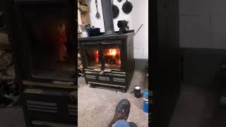 Canadian Cat Owner Lifestyle