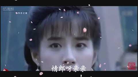 1993年 梅花三弄之二鬼丈夫  插曲《相认》 【高清】 电视剧原影原声