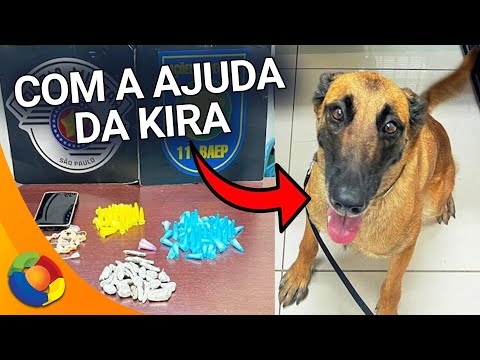 Adolescentes são detidos com drogas pela Força Tática