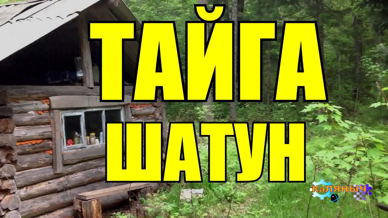 Таёжные истории коляныча. Случай в тайге книга. Коляныч тайга 2. Аудио рассказ коляныча. Аудио рассказ коляныча.