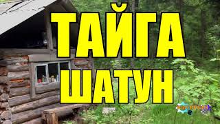 ТАЙГА | ШАТУН | ТАЕЖНЫЕ РАССКАЗЫ ТАЙГА | ШАТУН | ТАЕЖНЫЕ РАССКАЗЫ