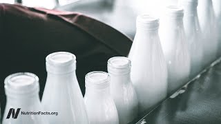 Vliv hormonů obsažených v mléce a mléčných výrobcích na rakovinu