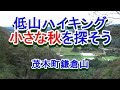 低山ハイキング~紅葉狩り【栃木県茂木町鎌倉山】とちぎ景勝百選