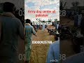 army dog center all Pakistan #03004832717