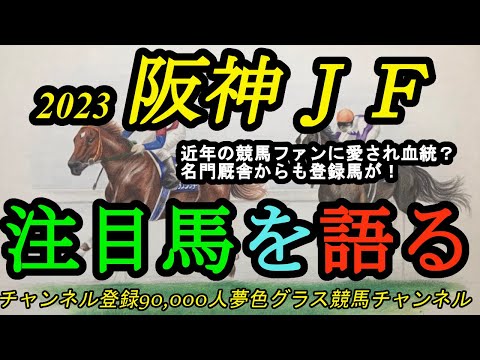 【注目馬を語る】2023阪神ジュベナイルフィリーズ！競馬ファンに近年愛される血統からまたG1へ！名門厩舎からも送りだす馬が！