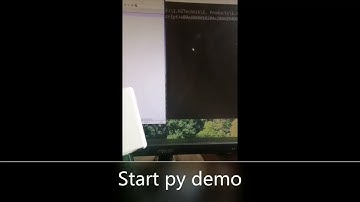 UHF RFID Reader&Writer (H2 LJYZN-110) supports Com2Keyboard function (python script ) H-2 Technik