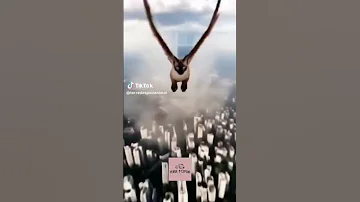 فاطمة شوفيني راني طاير 