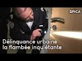 Dlinquance urbaine  vol et effraction la flambe inquitante