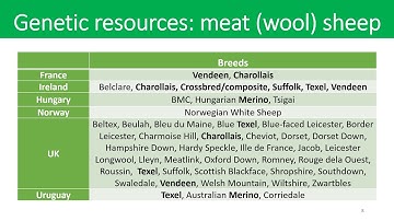 Genetic evaluation systems and breeding programs in sheep and goats an international perspective