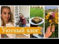 Уютный, семейный ВЛОГ: ГОТОВИМ ШАРЛОТКУ, польская бабушка, пальто [OSIA]