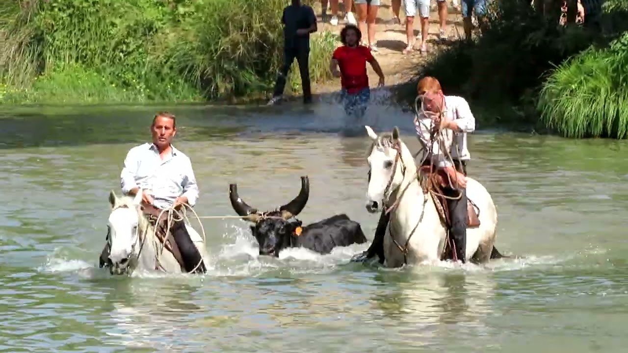 Fête de Marsillargues 2024 - Une deuxième gase pleine de surprises