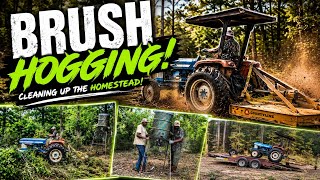 CNB Bossman Came Through! Brush Hogging My Property + New Hunting Shooting Lane